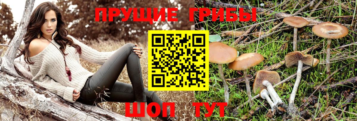 Псилоцибиновые грибы мухоморы Стрежевой
